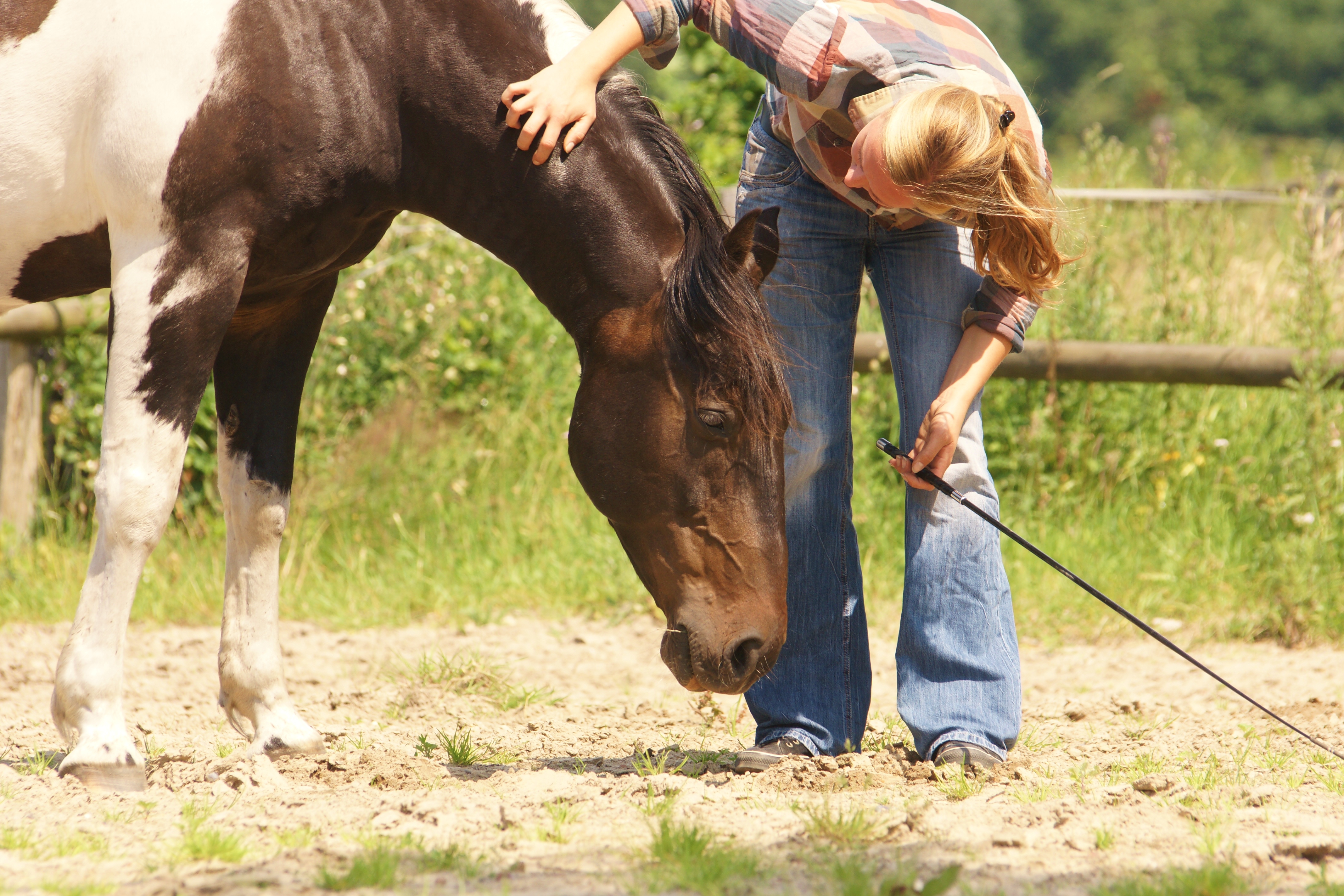 Horse Whisperer Catherin Seib